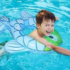 Swimming Pool Accessories